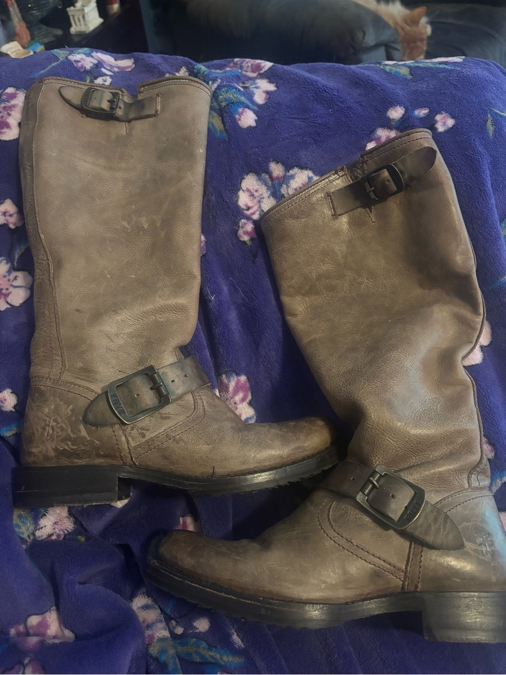 Frye boots Brown Leather Buckle Riding Boots Veronica size 6